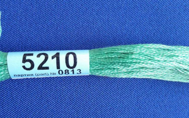 Нитки для вышивания "GAMMA" мулине ( 3173-6115 ) х/б 24 x 8 м №5210 зеленый
