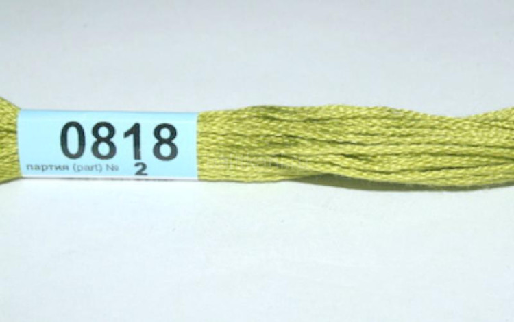 Нитки для вышивания "GAMMA" мулине ( 0207-0819 ) х/б 24 x 8 м №0818 оливковый